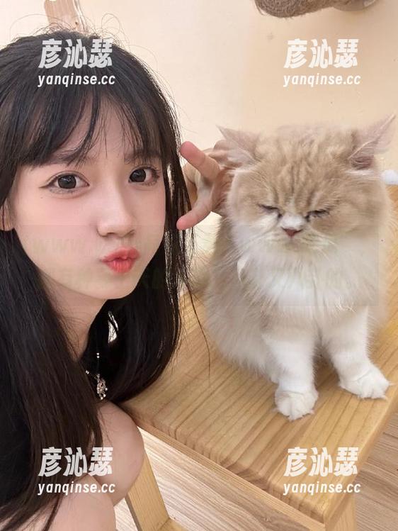 每次下载“www.吃瓜”，都有种要上天的冲动，八卦又八卦的。