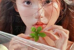 吃瓜福利，带你穿越瓜田，永不迷路的小确幸！