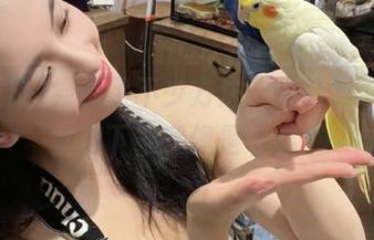 尝试了不少方法，吃瓜网app的官方下载就像是个谜！